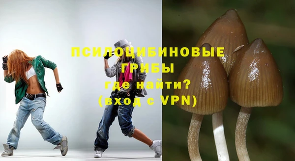 дурь Богданович