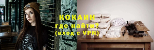 гашик Белокуриха