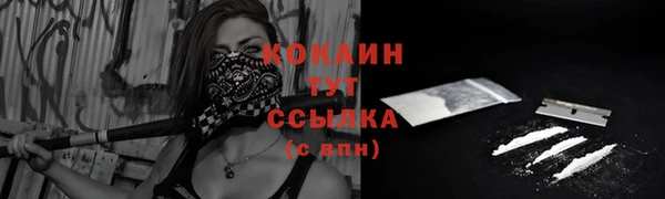 гашик Белокуриха
