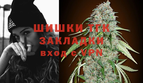 гашик Белокуриха