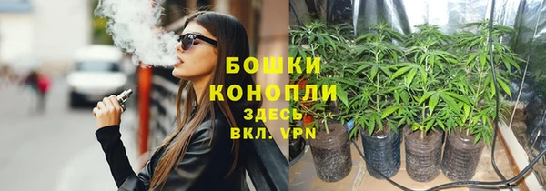 дурь Богданович