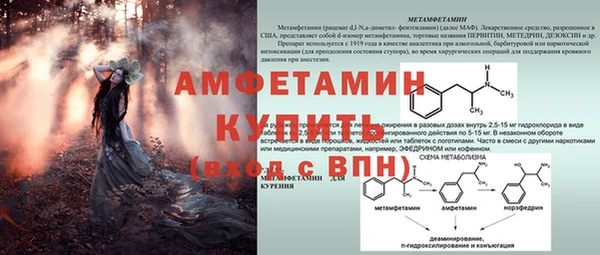 дурь Богданович