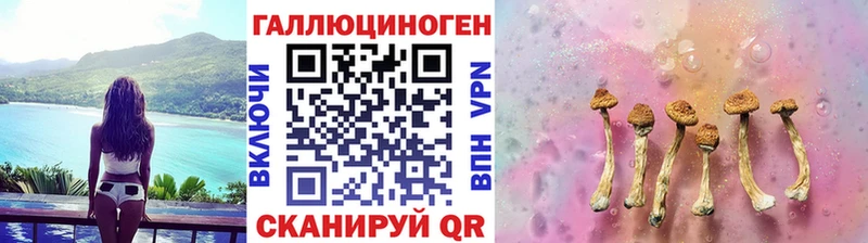 Галлюциногенные грибы GOLDEN TEACHER  Бузулук 
